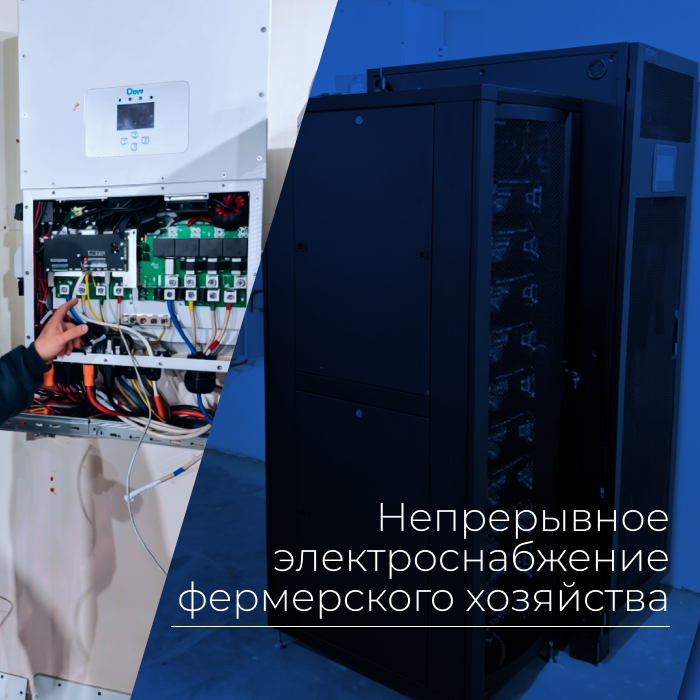 Частная ферма (город Грозный)